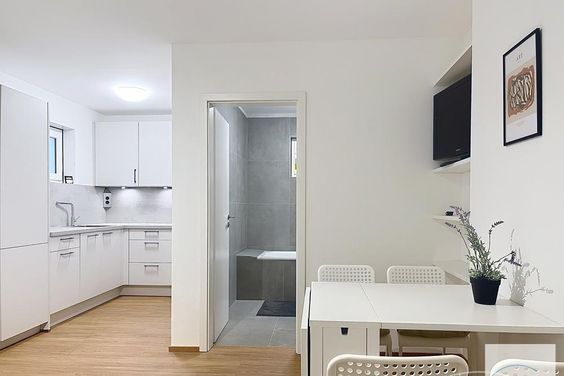 Neu möbliertes und renoviertes 1,5-Zimmer-Apartment